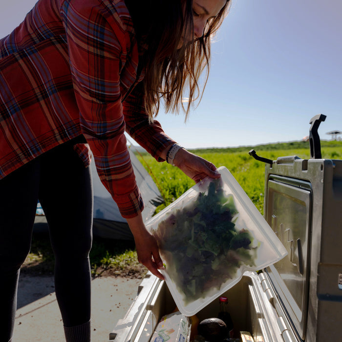 A person in a red plaid shirt places a (re)zip Reusable Leakproof Gallon Bag filled with leafy greens into a cooler outdoors, with greenery and a tent in the background.