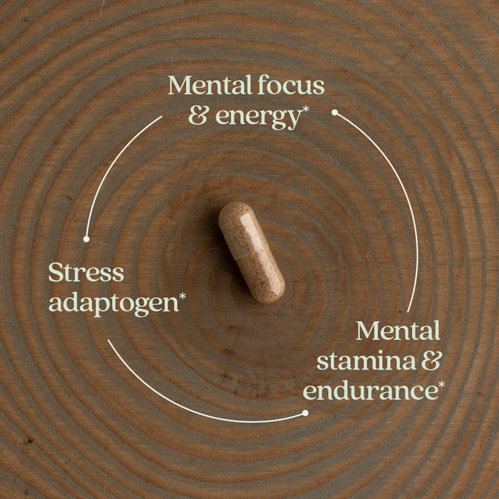 A single brown capsule of New Chapter Rhodiola Force 300 Mental Health & Stamina rests on wood, surrounded by text: Mental focus & energy, Rhodiola stress support, and Stress adaptogen—linked by curved arrows in a circle.