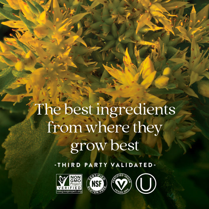 Close-up of yellow flowers with the text: “The best ingredients from where they grow best—Third Party Validated,” plus Non-GMO, NSF, Vegan, Kosher logos. New Chapter Rhodiola Force 300 supports mental health & stamina with stress-fighting adaptogens.