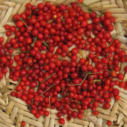 chiltepin seeds