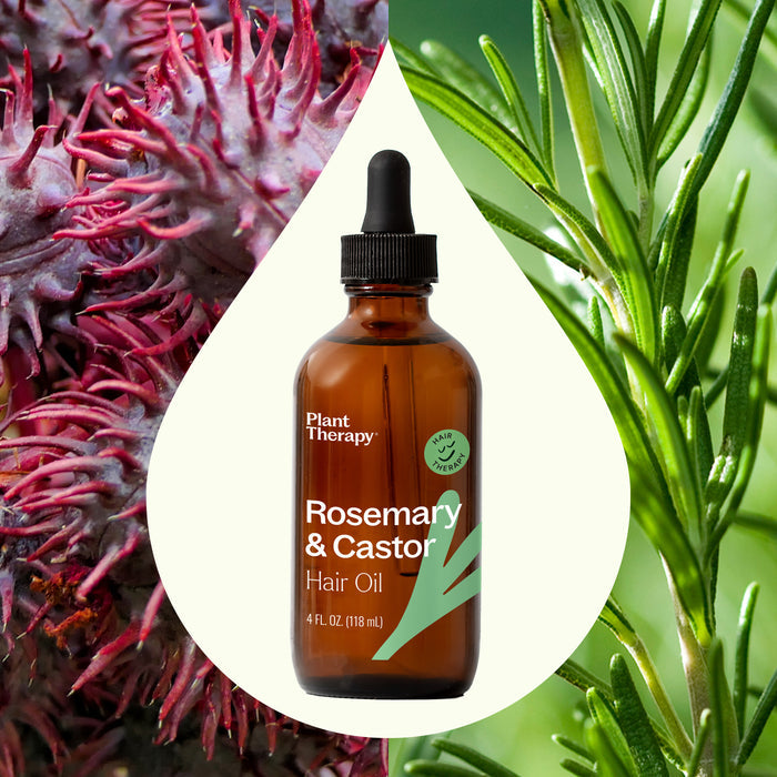 A brown Rosemary & Castor Hair Oil bottle by Plant Therapy is framed in a droplet and flanked by red castor bean pods and green rosemary sprigs, suggesting hair growth from the Castor Oil and Rosemary Essential Oil blend.