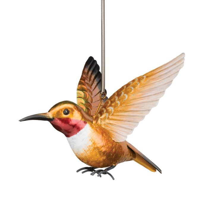 Rufous & Woodnymph Hummingbird Bouncie