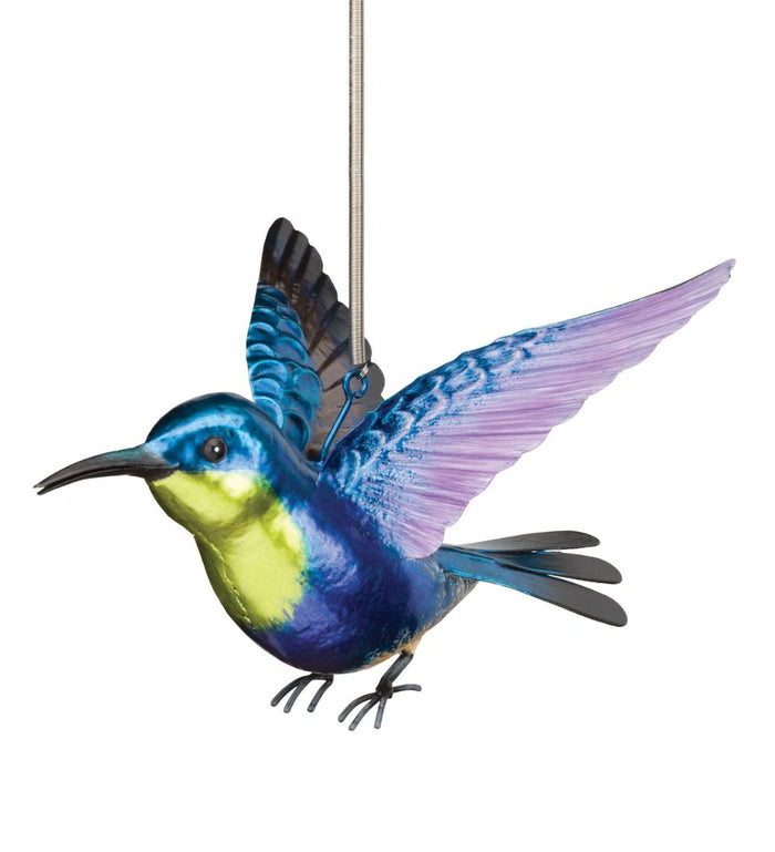 Rufous & Woodnymph Hummingbird Bouncie