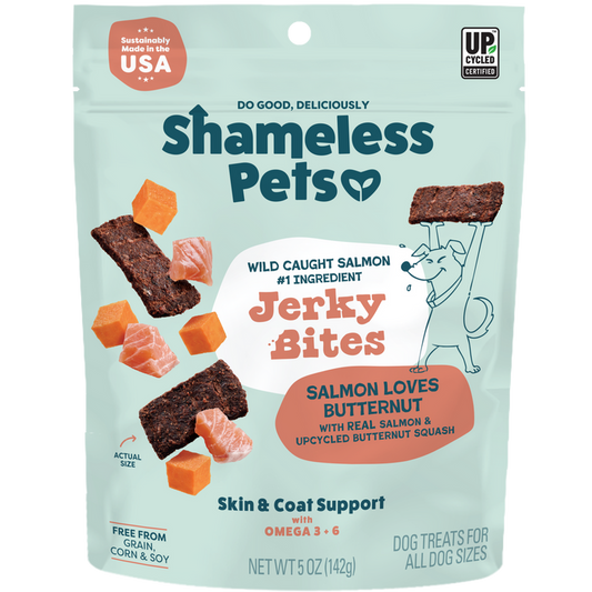 A bag of Shameless Pets Salmon Loves Butternut Jerky Dog Treats, made with wild-caught fish and omega-3s for skin & coat support, features salmon chunks, jerky bites, and an illustrated dog on a teal background.