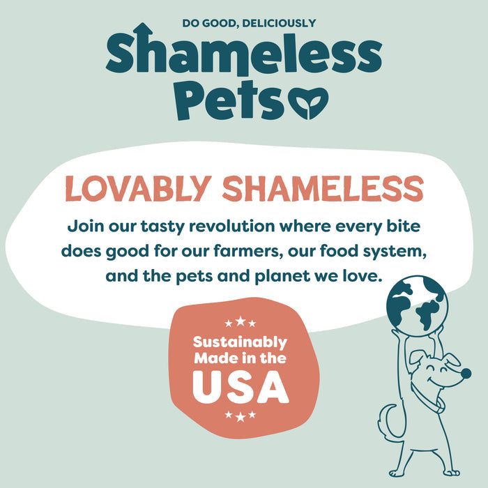 Shameless Pets promo graphic featuring Salmon Loves Butternut Jerky Dog Treats, with a dog holding a globe, the slogan Lovably Shameless, a Sustainably Made in the USA badge, and their mission to help pets and the planet.