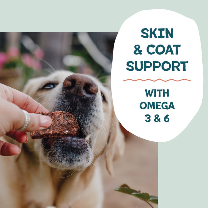 A person feeds a Shameless Pets Salmon Loves Butternut Jerky Dog Treat to a yellow dog. Text beside the dog reads: Skin & Coat Support with Omega 3 & 6. The background is a soft mint green.