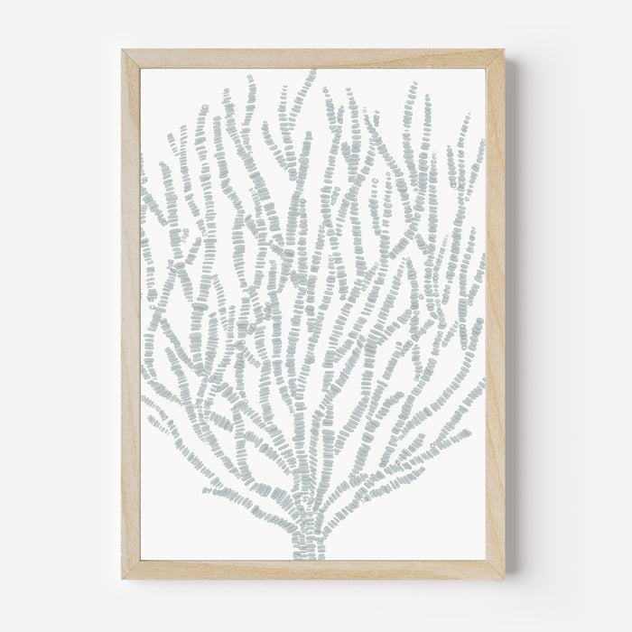 Salty Seaweed Botanical - Art Print or Canvas - Jetty Home