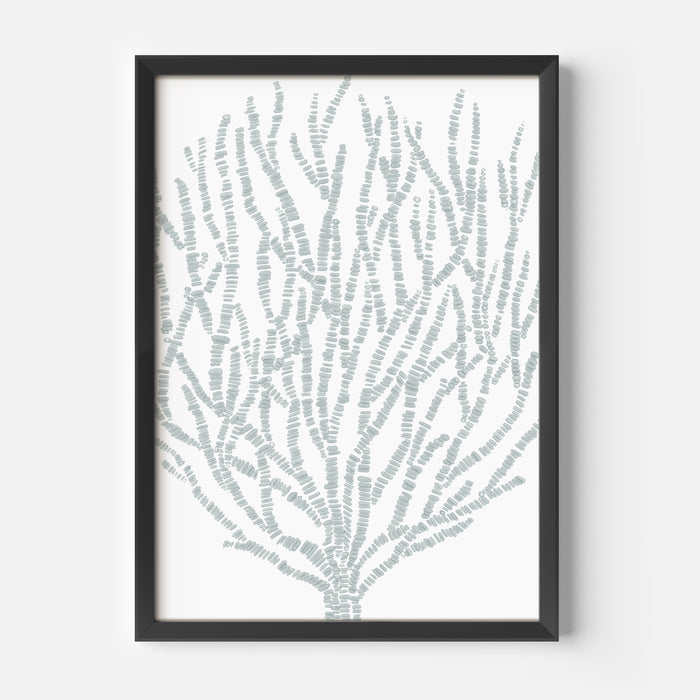 Salty Seaweed Botanical - Jetty Home