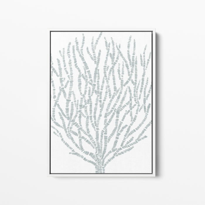 Salty Seaweed Botanical - Art Print or Canvas - Jetty Home
