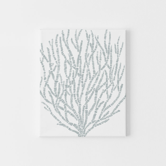 Salty Seaweed Botanical - Art Print or Canvas - Jetty Home