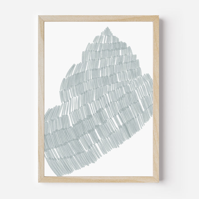 Salty Snail Shell - Art Print or Canvas - Jetty Home