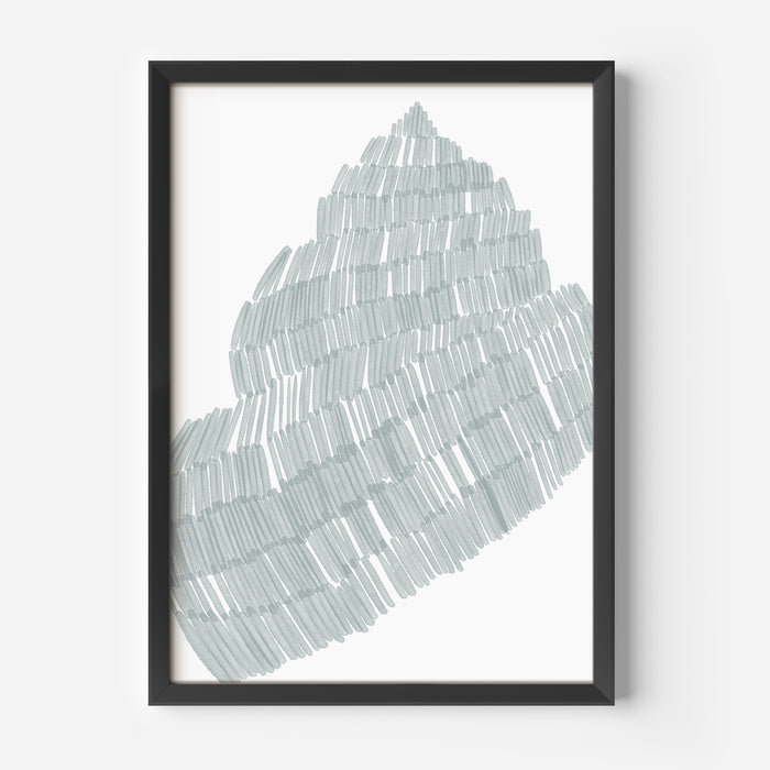 Salty Snail Shell - Jetty Home