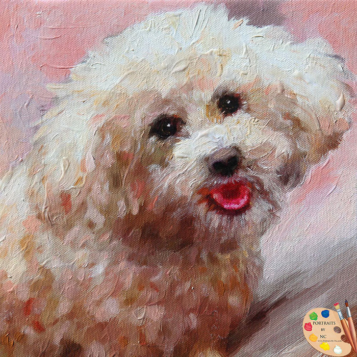 Schnoodle Dog Portrait 522