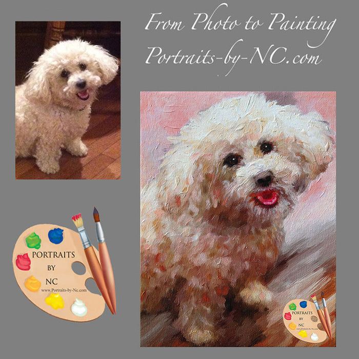 Schnoodle Dog Portrait from Photo 522