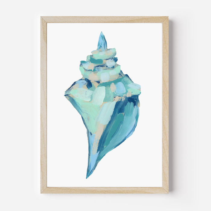 Seashell Finds, No. 2 - Jetty Home