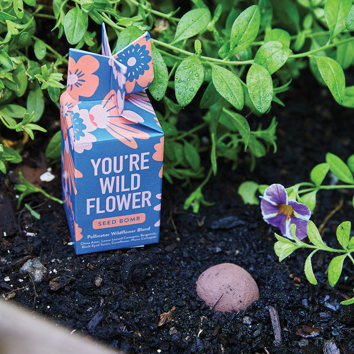 The Youre Wild Flower Seed Bomb by Modern Sprout decorates a garden bed with its floral design. A round seed bomb lies on the soil, enveloped by green plants and a purple flower, attracting keen pollinators to the lively display.