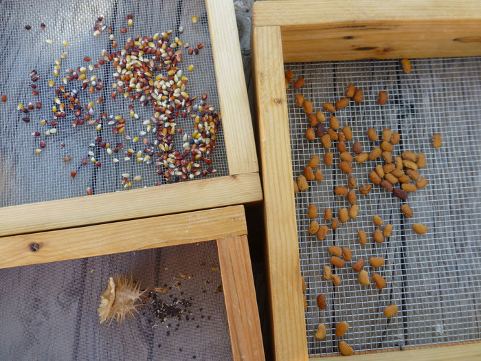 Seed Saving Screens