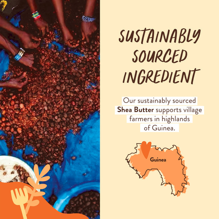 Hands sorting shea nuts over a blue tarp with text, Sustainably Sourced Ingredient. A map highlights Guinea, where the fragrance-free shea butter in Babo Botanicals Sensitive Baby Miracle Cream is sourced from village farmers in the highlands—ideal for sensitive skin as a gentle moisturizer.