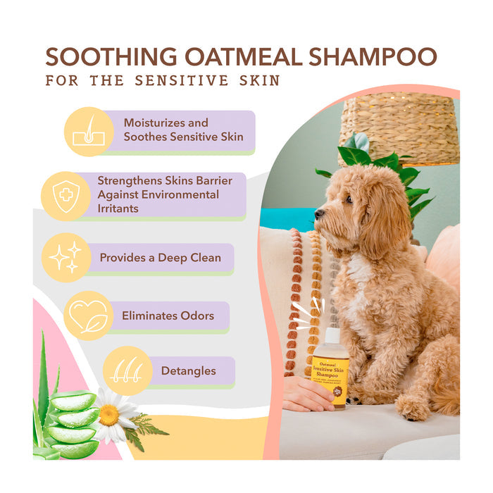 A dog sits on a couch next to a bottle of soothing oatmeal shampoo. The image includes text highlighting benefits: moisturizes and soothes skin, strengthens skin barrier, provides deep clean, eliminates odors, and detangles. Aloe vera and oatmeal are pictured.