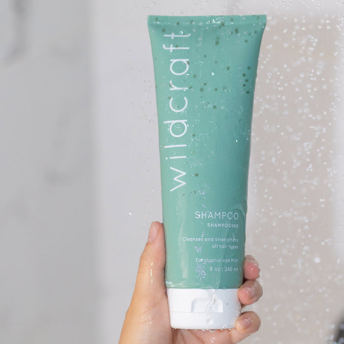 A hand displays an 8 oz green tube of Wildcraft Shampoo with eucalyptus and mint against a blurred background with water droplets, featuring the text Cleanses and strengthens all hair types. This nourishing formula, infused with quinoa protein, naturally benefits your hair.