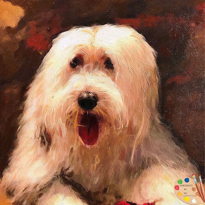 Sheepdog Portrait 506