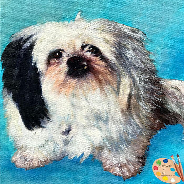 Shih Tzu Dog Portrait 568