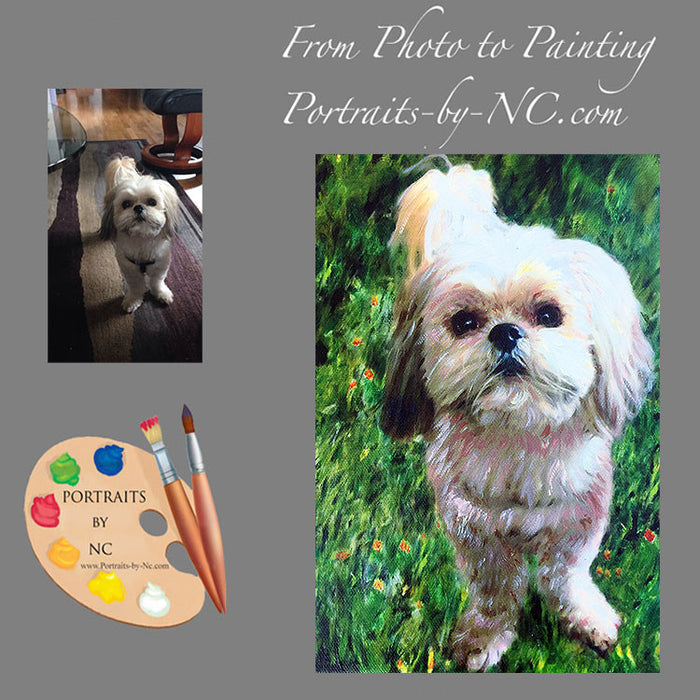 Shih Tzu Dog Portrait from Photo 379