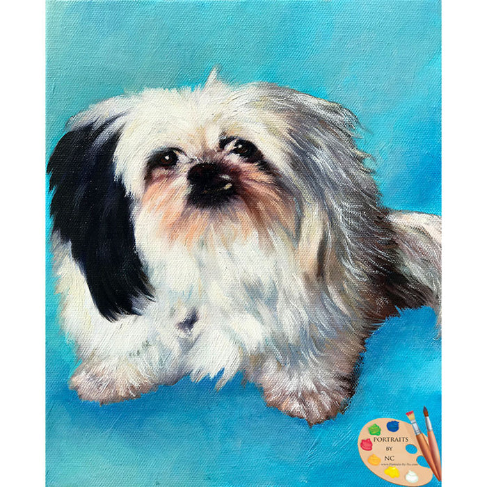 Shih Tzu Dog Painting 568