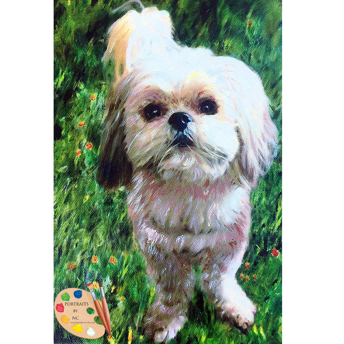 Shih Tzu Dog Painting 379