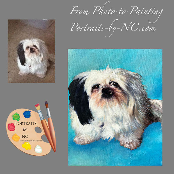 Shih Tzu Dog Portrait from Photo 568