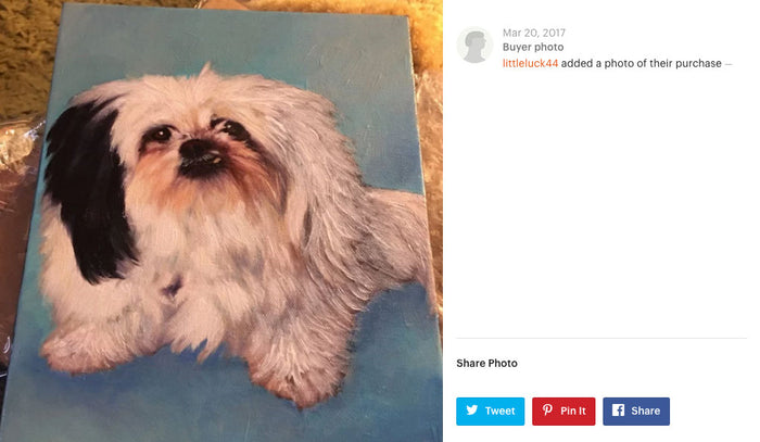 Shih Tzu Buyer Photo