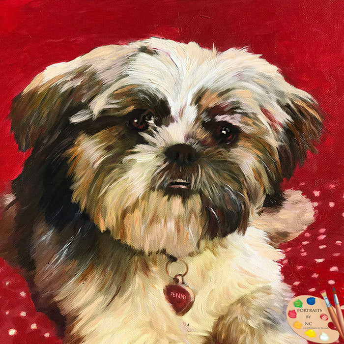 Shih Tzu Portrait 560