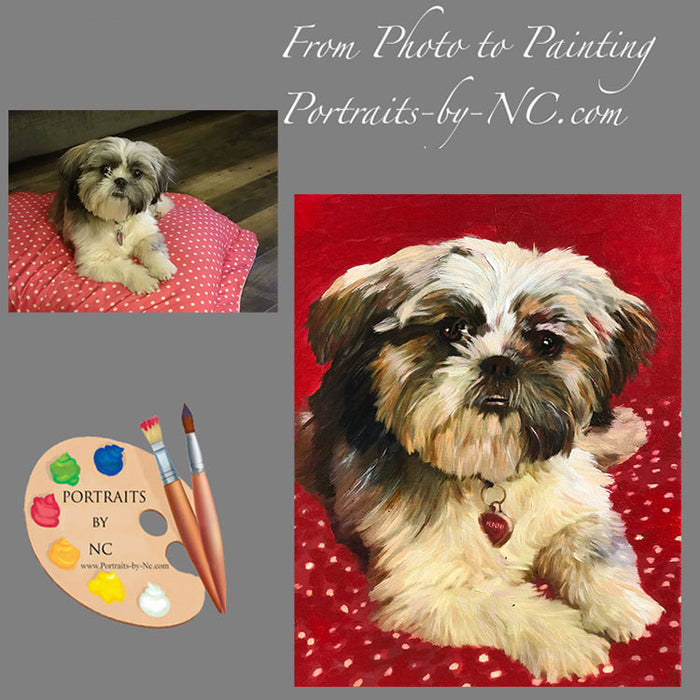 Shih Tzu Portrait from Photo 560