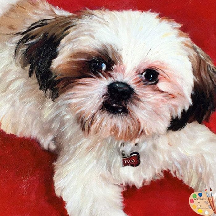 Shih Tzu Pet Portrait 402