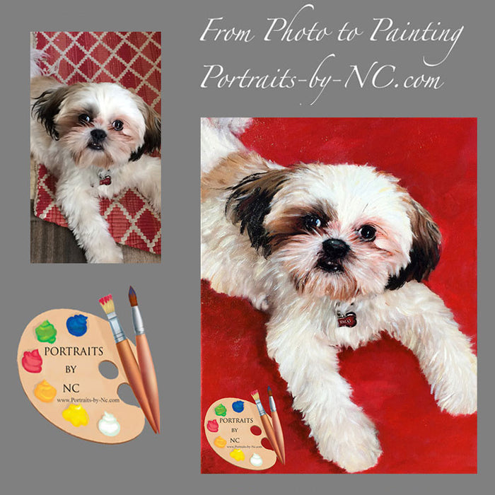 Shih Tzu Pet Portrait from Photo 402
