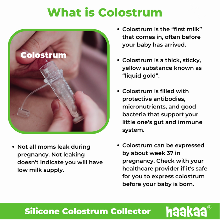 Infographic titled "What is Colostrum" with text on colostrum's benefits and production during pregnancy. Features an image of a silicone colostrum collector. The design includes green and white colors with the Haakaa logo.