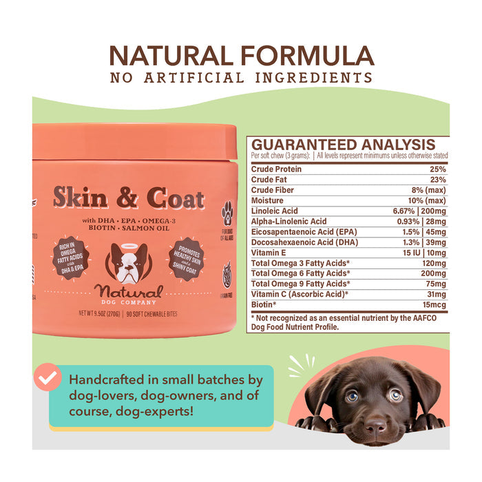 Image of a jar labeled "Skin &amp; Coat" from Natural Dog Company, with details about nutritional analysis. A small black puppy with a curious expression is partially visible at the bottom. Text highlights ingredients as handcrafted for dogs.