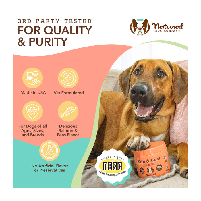 A dog chews on a tobacco-colored container labeled "Skin &amp; Coat" by Natural Dog Company. Text highlights that it's made in the USA, vet formulated, and suitable for all dogs. It has a salmon and peas flavor and no artificial additives.