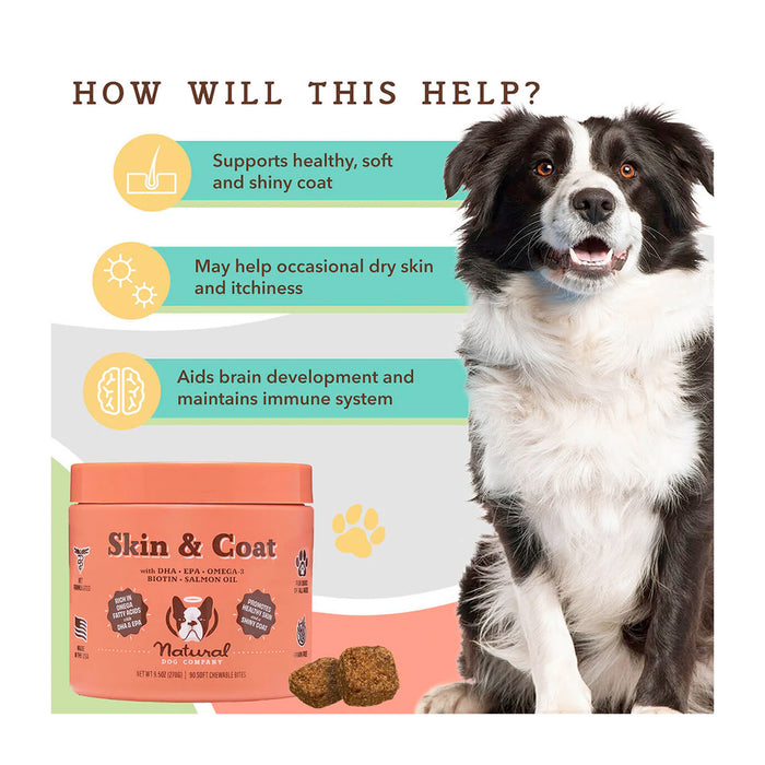 Image of a black and white dog beside a container of "Skin &amp; Coat" supplements. Text highlights benefits: supports healthy, shiny coat; may help with dry skin; aids brain development and immune system. .