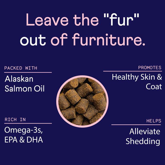 Text: "Leave the 'fur' out of furniture." The center shows dark brown kibble. Highlights benefits, stating, "Packed with Alaskan Salmon Oil," "Rich in Omega-3s, EPA & DHA," "Promotes Healthy Skin & Coat," "Helps Alleviate Shedding.