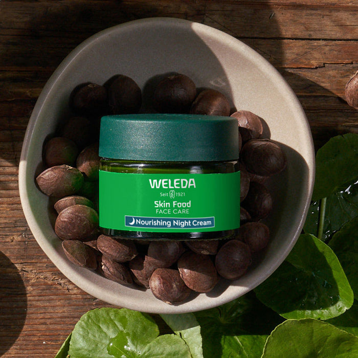 A jar of Weleda Skin Food Face Care Nourishing Night Cream, a rich overnight moisturizer, sits in a beige bowl surrounded by brown seeds on a wooden surface. Lush green leaves encircle the scene, with the creams label prominently shown.