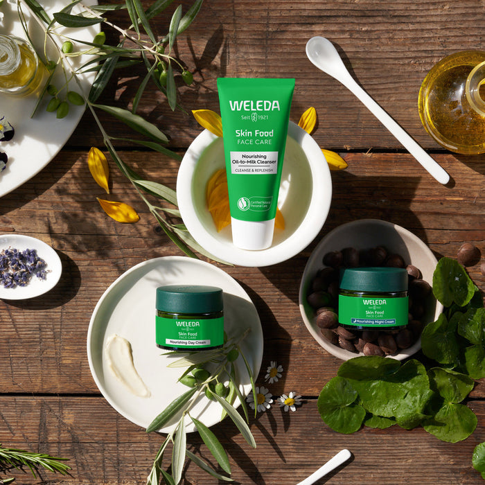 A flat lay of Weledas Skin Food Face Care Nourishing Night Cream, featuring a tube and two jars with lavender, surrounded by green leaves, nuts, and oil bottles on wood. This collection nourishes skin overnight like soothing butter.