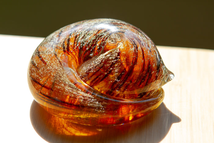 Tortoise Shell/Bengal
