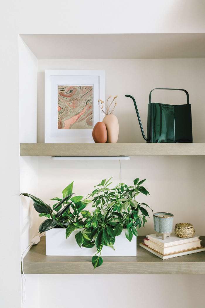 Wooden shelves display a framed abstract art piece, vases, and a green watering can on top. The lower shelf shows vibrant houseplants under the Modern Sprout Smart Growbar, next to a small pot and books.