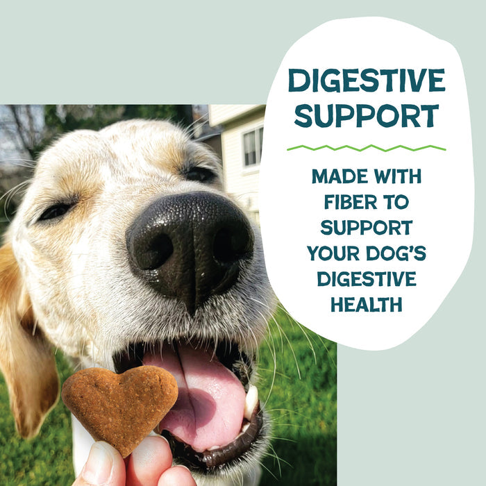 A happy dog about to eat a heart-shaped Party Mix - Crunchy Bites treat from Shameless Pets. Text: Digestive Support. Made with fiber and upcycled sweet potatoes for your dogs digestive health.