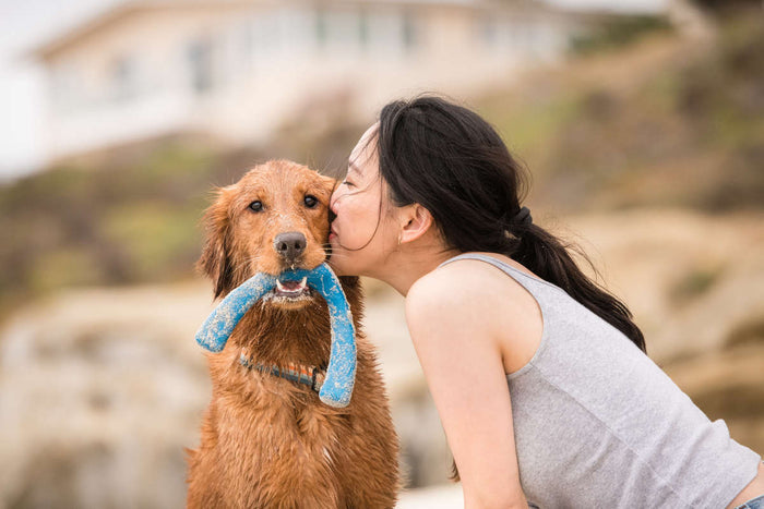 On a beach, a woman kisses a wet, high-energy golden retriever holding West Paw’s Snorkl® Interactive Tug and Fetch Dog Toy, made from ocean-bound recycled plastic. A blurred building can be seen on the grassy hill in the background.