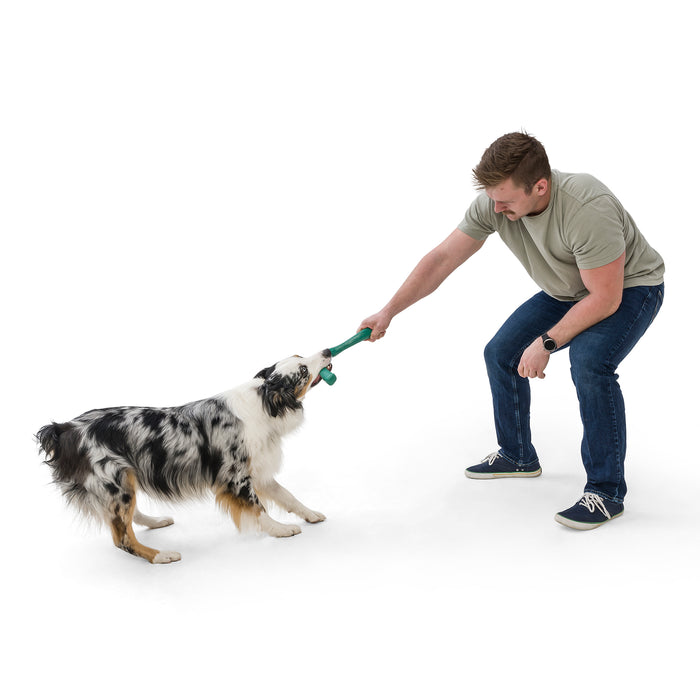 A man in a grey shirt and jeans eagerly plays tug-of-war with his energetic Australian Shepherd using the Snorkl® Interactive Tug and Fetch Dog Toy by West Paw, designed for moderate chewers. They happily engage against a plain white background.