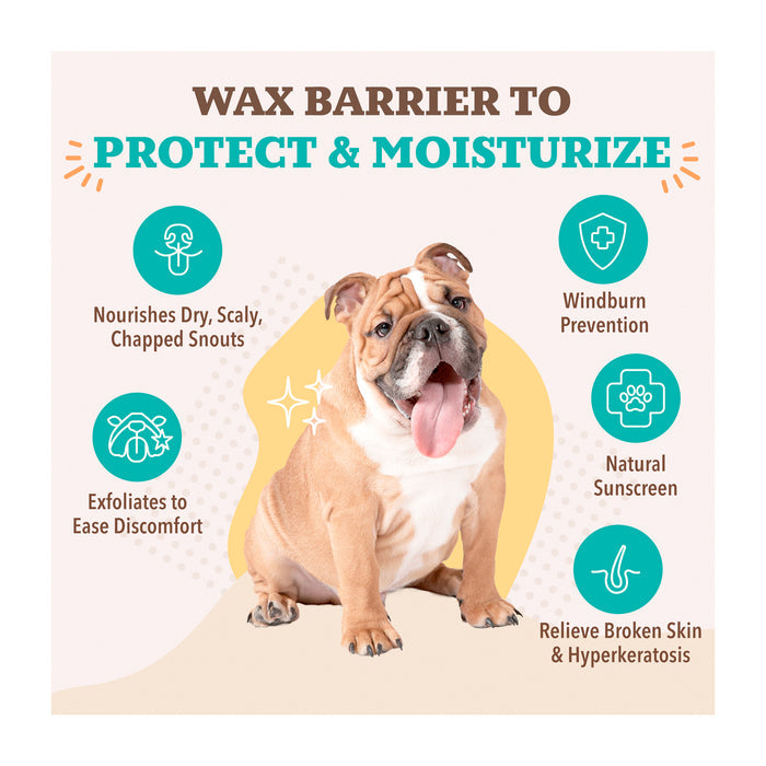 A bulldog sits surrounded by icons and text. Headline: "Wax Barrier to Protect &amp; Moisturize." Benefits listed are: nourishes snouts, windburn prevention, exfoliates, natural sunscreen, relieves broken skin and hyperkeratosis.