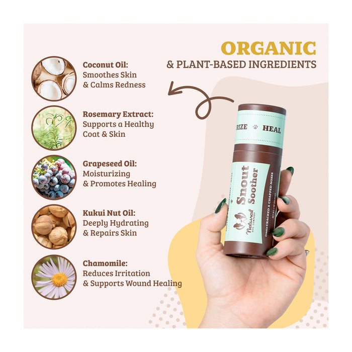 A hand holding a tube labeled "Snout Soother." On the right, a list of organic ingredients with benefits: coconut oil, rosemary extract, grapeseed oil, kukui nut oil, and chamomile. Brown, green, and beige color scheme with decorative elements.