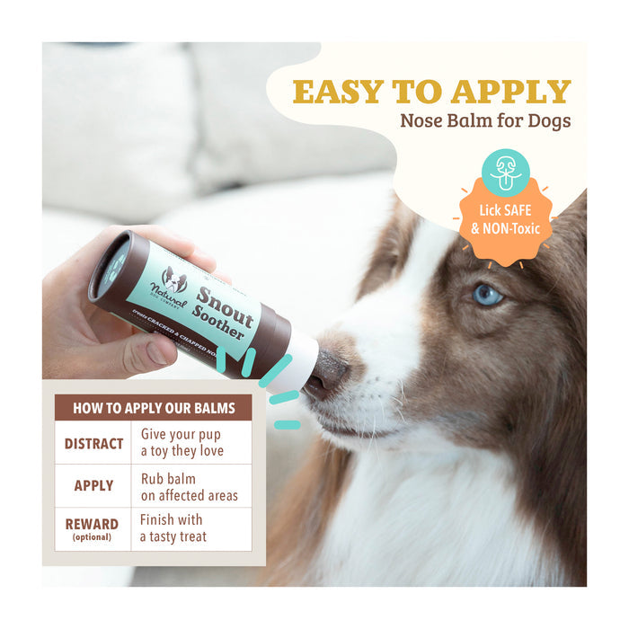A dog is having nose balm applied from a tube. Text reads "Easy to Apply: Nose Balm for Dogs. Lick Safe &amp; Non-Toxic." Instructions: "Distract: Give a toy, Apply: Rub balm, Reward: Finish with a treat.